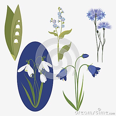 Big collection of realistic wild flowers Vector Illustration