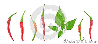 Collection of red chili Peppers and leaves Stock Photo