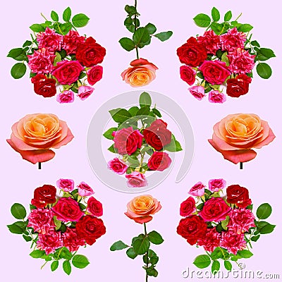 Collection roses flowers Stock Photo