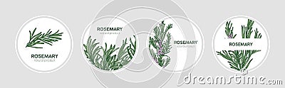 Collection of round labels decorated with rosemary sprigs. Set of beautiful circular tags with fragrant spicy culinary Vector Illustration