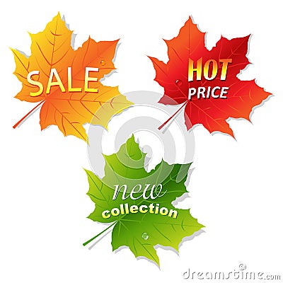 Collection Sale Leaves Vector Illustration