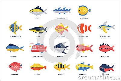 Collection of sea and river fish and lettering name in English vector Illustrations Vector Illustration