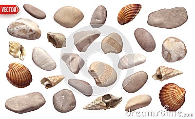 Collection of sea stones and shell and scallop. Set of Scallop seashell closed shapes of objects realistic 3d design Vector Illustration