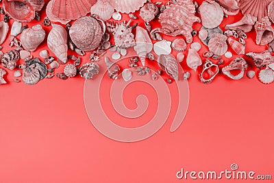 collection seashells coral background. High quality photo Stock Photo