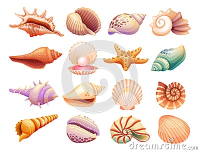 Collection of seashells illustration Vector Illustration