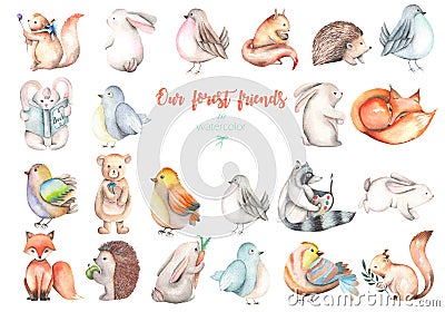 Collection, set of watercolor cute forest animals illustrations Vector Illustration