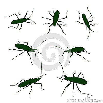 Collection of silhouette insect, animal vector, illustration Vector Illustration