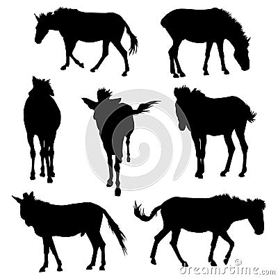 Collection of silhouette realistic horses, vector animal sign Vector Illustration