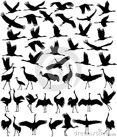 Collection of silhouettes of cranes in different positions Vector Illustration