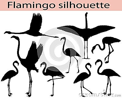 Collection of silhouettes of flamingo birds Vector Illustration