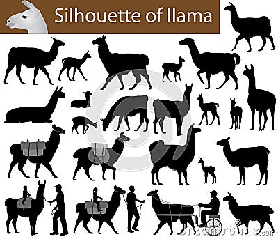 Collection of silhouettes of llamas and its cubs Vector Illustration