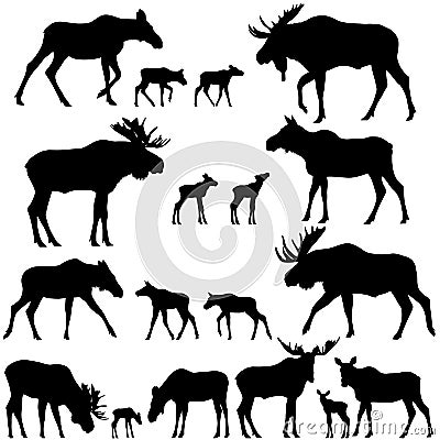 Collection of silhouettes of mooses also named elks and its cubs Vector Illustration