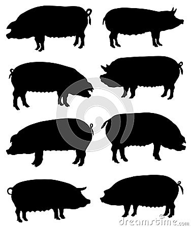 Collection of silhouettes of pigs Stock Photo