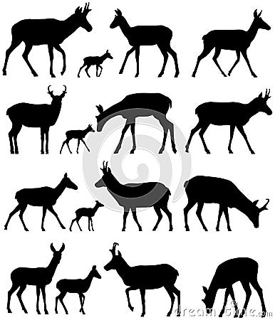 Pronghorn silhouettes Vector Illustration