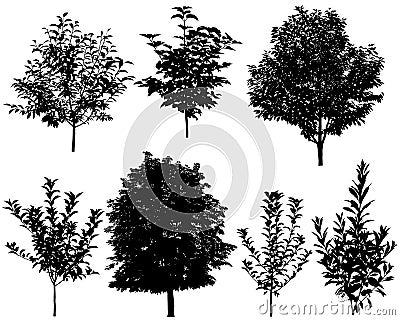 Collection of silhouettes of trees Vector Illustration