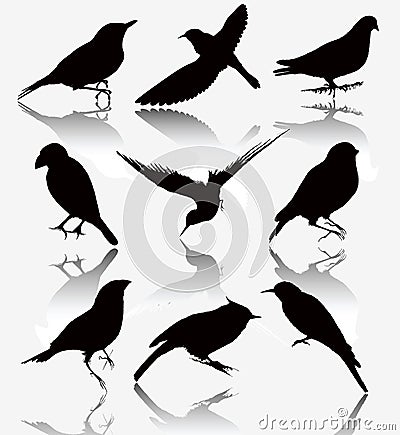 Collection of silhouettes of wild birds, vector il Stock Photo