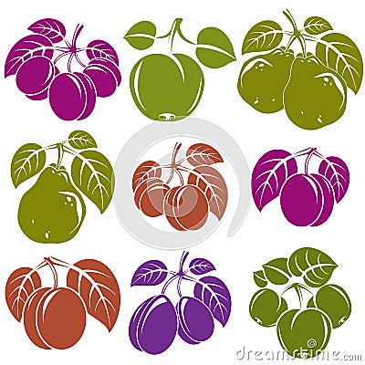 Collection of simple fruits icons with green leaves, harv Stock Photo