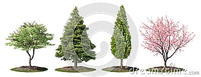 Collection of small shrubs for landscaping Stock Photo