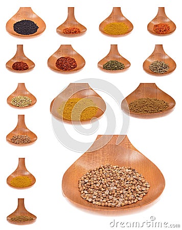 Collection spices Stock Photo