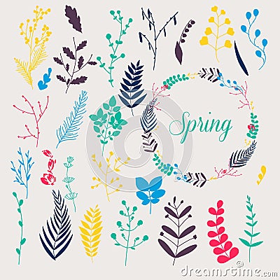 Collection of spring flowers, leaves, dandelion, grass. Design f Vector Illustration