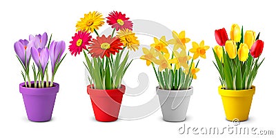 Collection of spring and summer colorful flowers i Vector Illustration