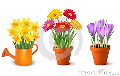 Collection of spring and summer colorful flowers i Vector Illustration