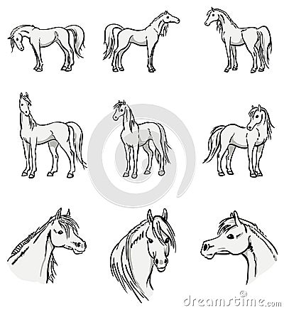 Collection of Standing Horses Vector Illustration