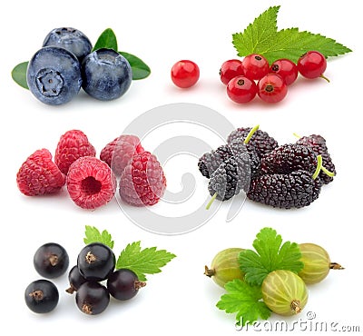 Collection of sweet berries Stock Photo