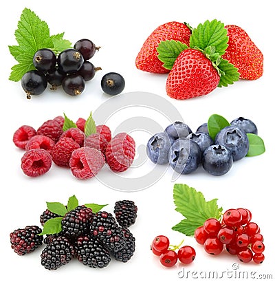 Collection of sweet berries Stock Photo