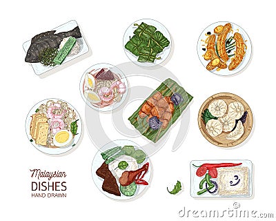 Collection of tasty meals of Malaysian cuisine. Bundle of delicious spicy Asian restaurant dishes lying on plates Vector Illustration