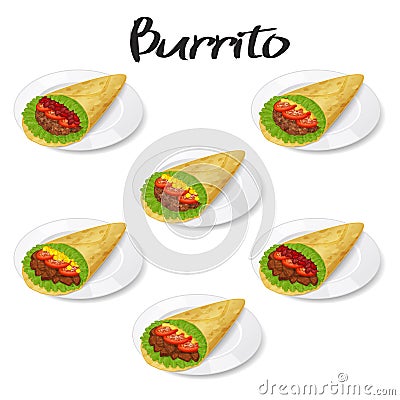 collection of tasty mexican burrito on plate icon Vector Illustration