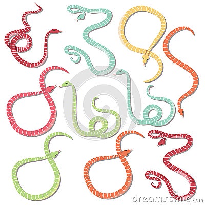 Collection of ten colorful striped snakes hand drawn Vector Illustration