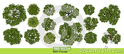 Trees top view for landscape vector illustration. Vector Illustration