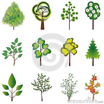 The collection of trees Vector Illustration