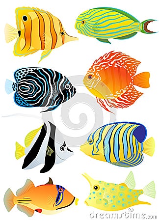 Collection of tropical fish Vector Illustration