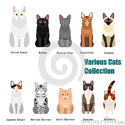 Collection of various cats Vector Illustration