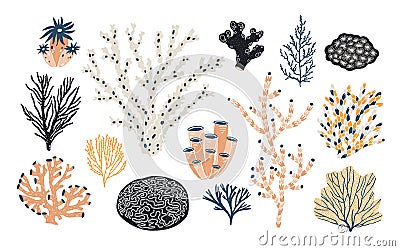 Collection of various corals and seaweed or algae isolated on white background. Beautiful underwater species, deep sea Vector Illustration