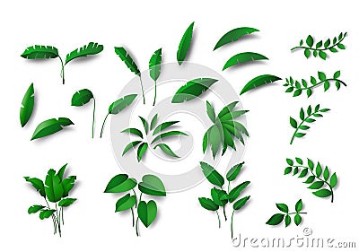 Collection various of green Tropical leaves concept, isolated elements on white background Vector Illustration