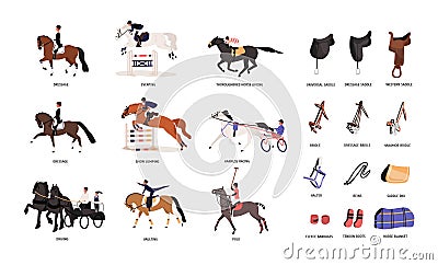 Collection of various horse gaits and tools for horseback riding or equestrianism isolated on white background Vector Illustration