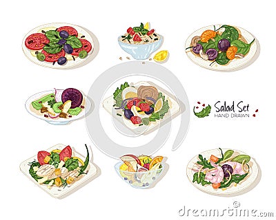 Collection of various salads lying on plates and in bowls isolated on white background - Tabbouleh, Nicoise, Caesar Vector Illustration