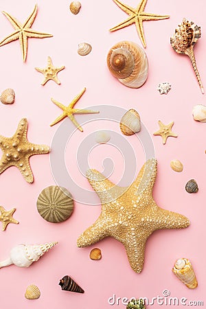 Collection of various seashells on a pink background, top view Stock Photo