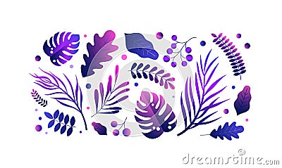 Collection of various tropical leaves isolated on white background. Gradient purple exotic plants, jungle foliage Vector Illustration