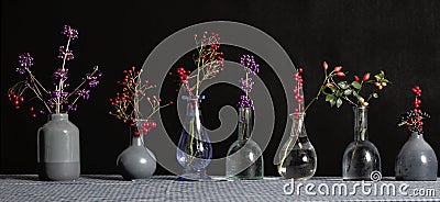 A collection of vases with a variety of berries. Stock Photo