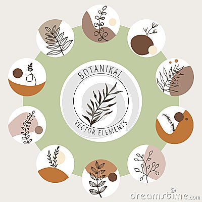 Collection of vector botanical icons for the brand. Hand-drawn vector trend set of botanical logos. Flower templates of leaves and Vector Illustration