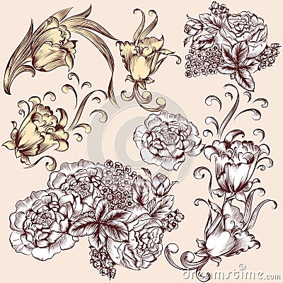 Collection of vector hand drawn flowers Stock Photo