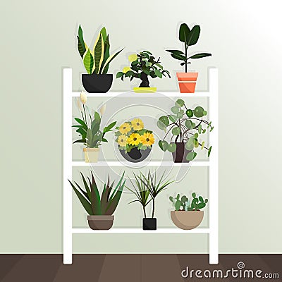 Collection of vector houseplants. Flat style. Flowers stand on the shelves. Interior Design. green plant in pot Vector Illustration