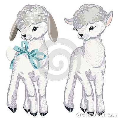 Collection of vector lamb for design in watercolor style Stock Photo