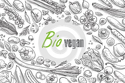 Collection of vegetables hand-drawn Vector Illustration