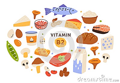 Collection of vitamin B2 sources. Food containing riboflavin. Cottage cheese, mushrooms, fish, dairy products, nuts Vector Illustration