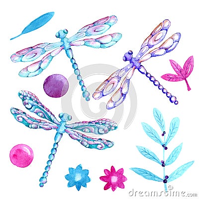 Collection watercolor of flying dragonflies. For cover design, packaging, backgrounds Stock Photo